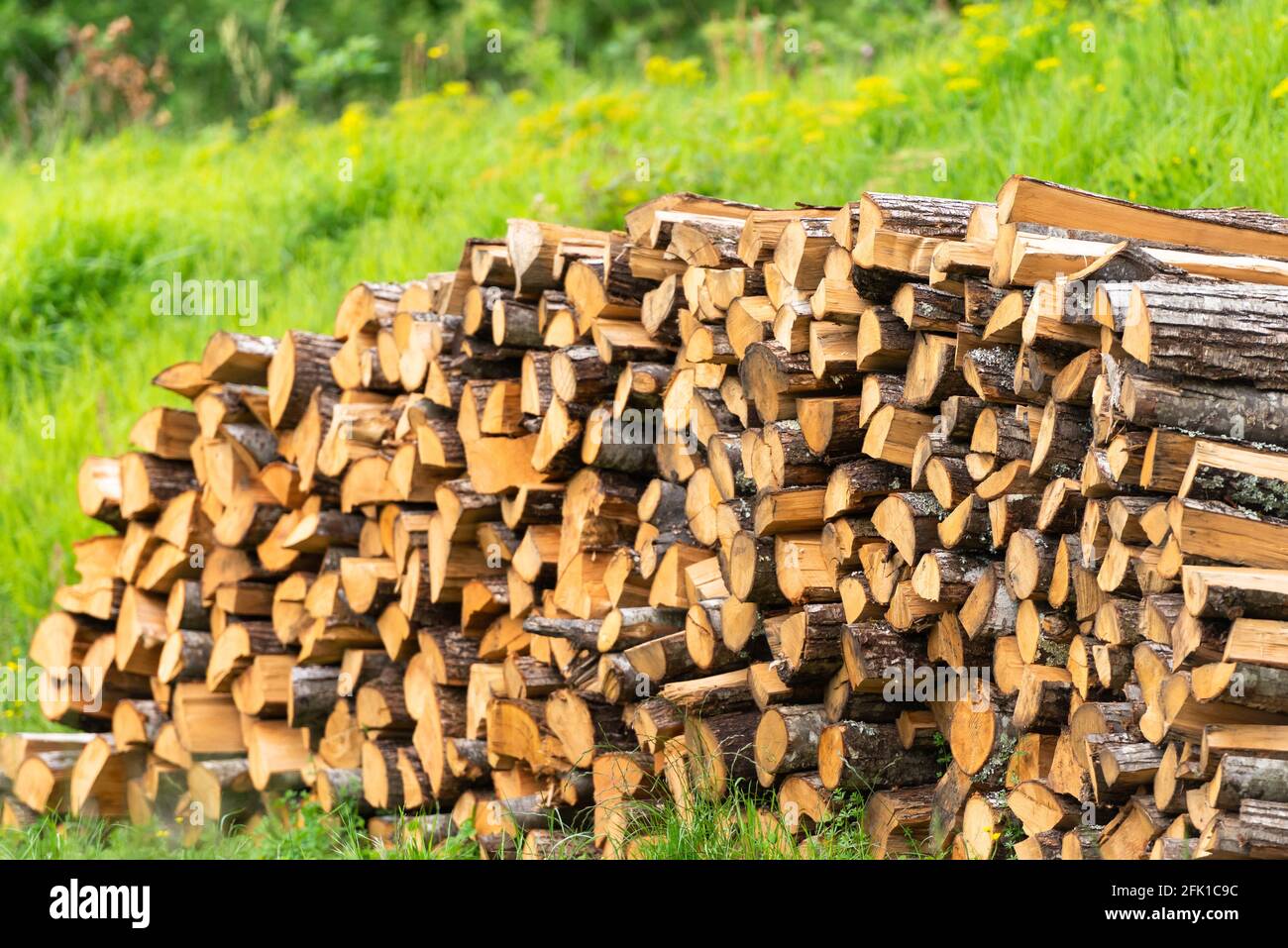 Firewood from juicy logs. A lot of firewood lies in piles on the fresh  grass. Focus on nearby firewood Stock Photo - Alamy