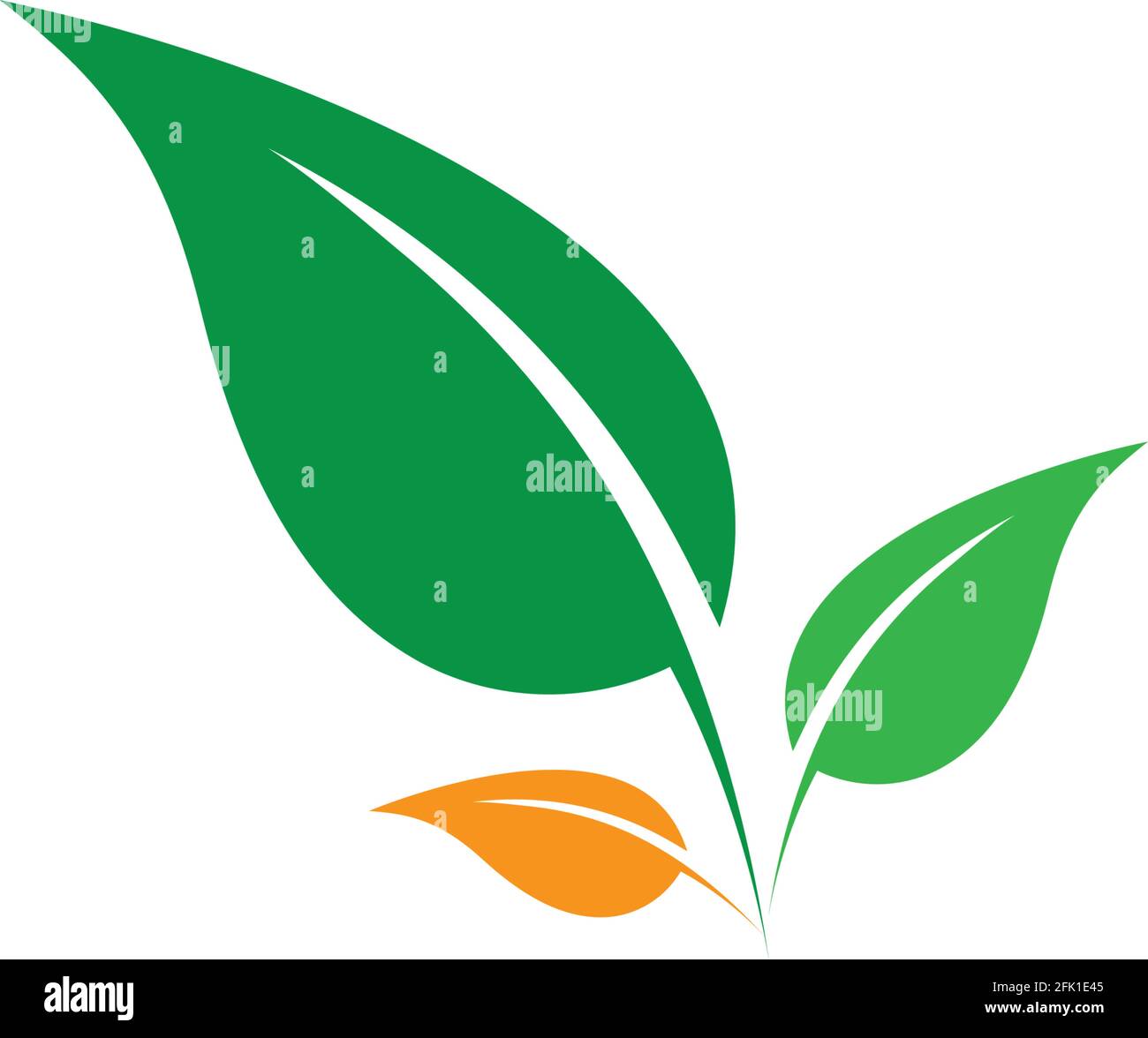 green leaf ecology nature element vector Stock Vector Image & Art - Alamy