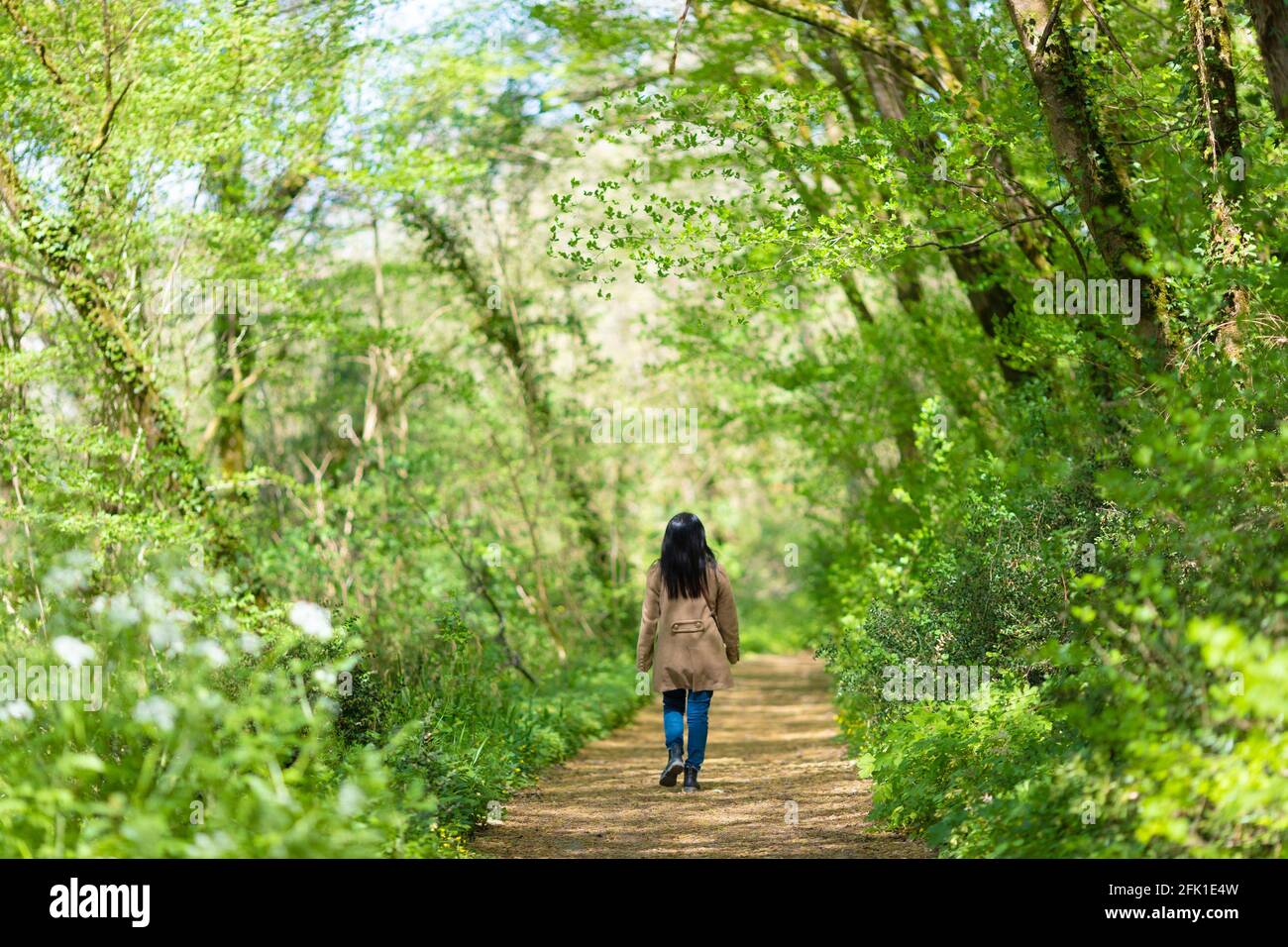 Girl walking alone in forest hi-res stock photography and images - Alamy