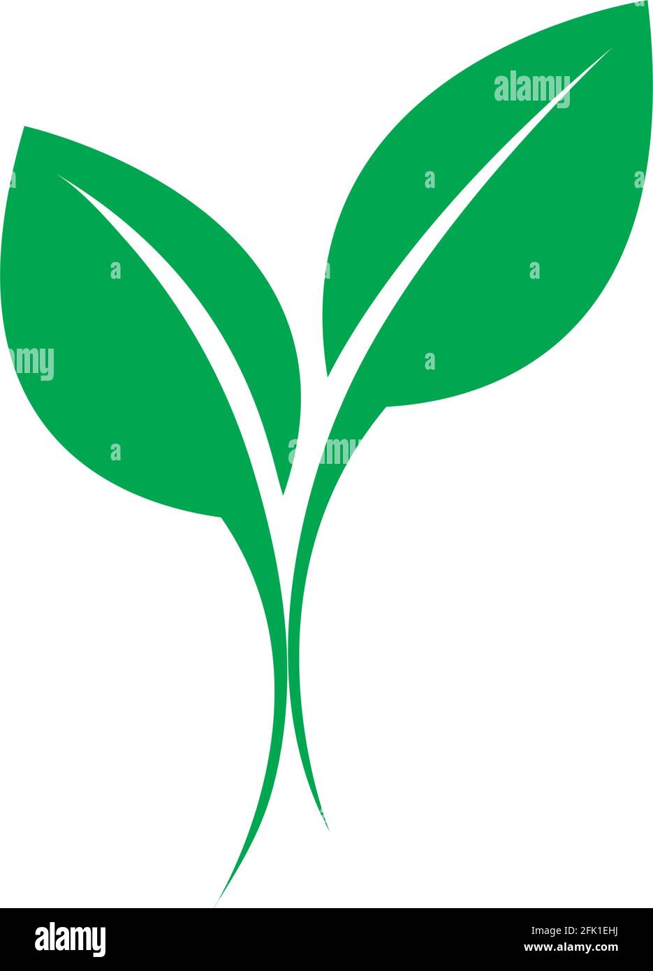 green leaf ecology nature element vector Stock Vector Image & Art - Alamy