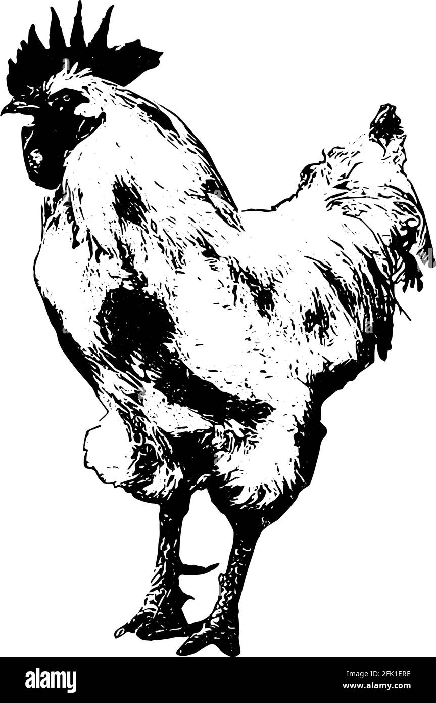 Chicken wing with sauce monochrome sketch Vector Image
