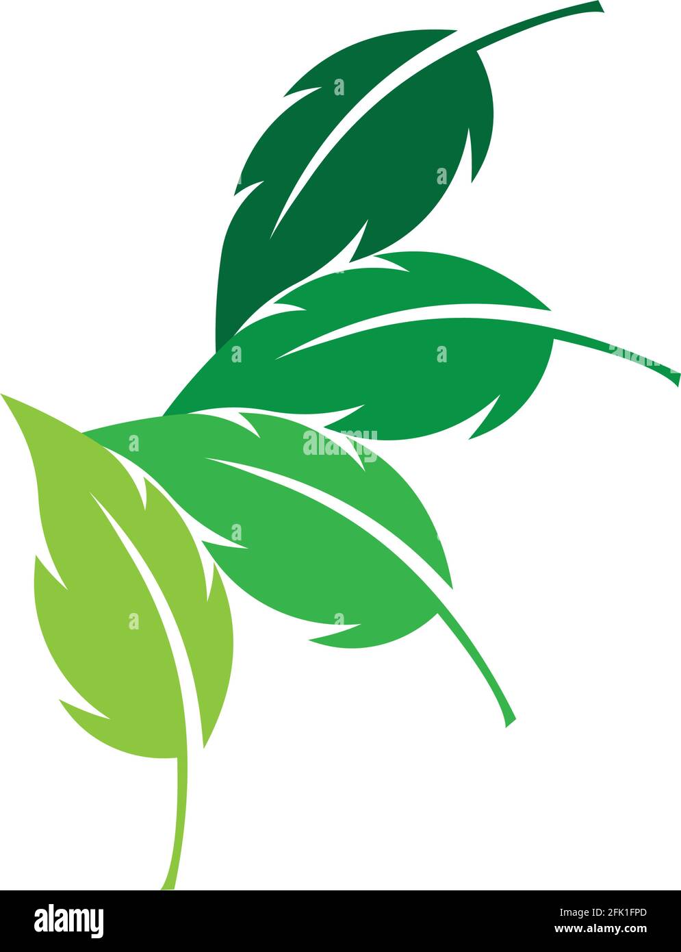 green leaf ecology nature element vector Stock Vector Image & Art - Alamy