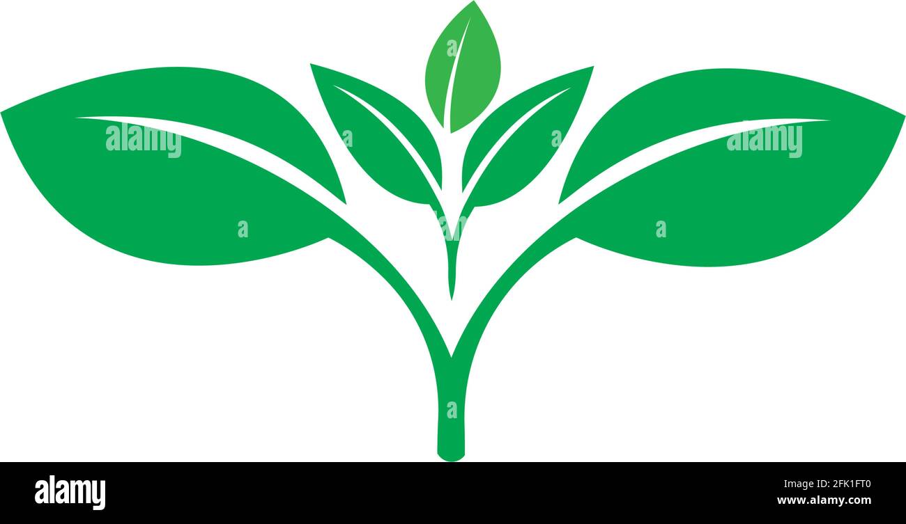 green leaf ecology nature element vector Stock Vector Image & Art - Alamy