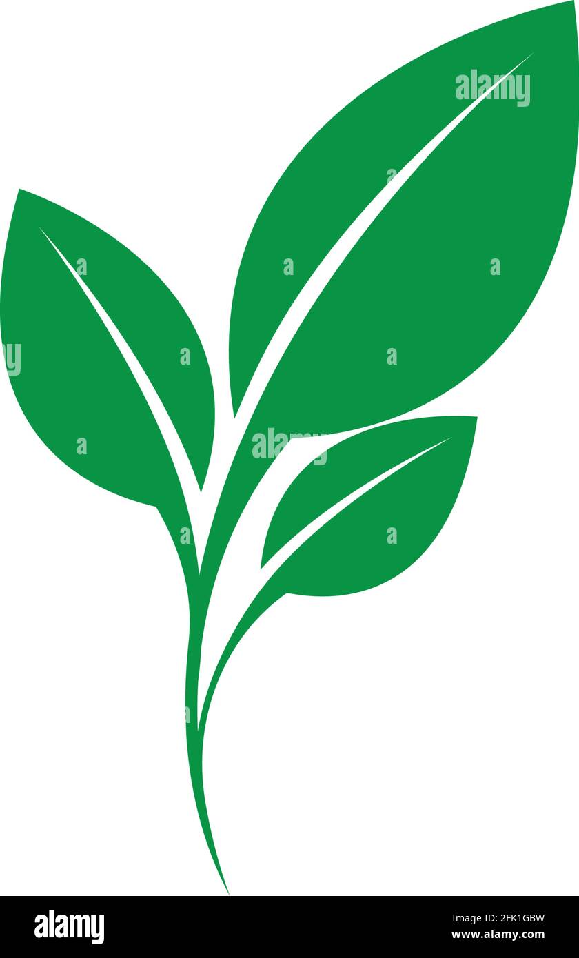 green leaf ecology nature element vector Stock Vector Image & Art - Alamy