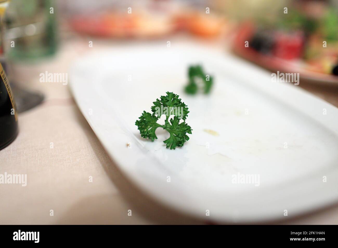 The piece of parsley on a plate after dinner Stock Photo Alamy