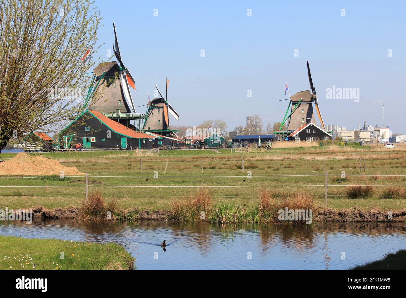 Zaanse Schans in the Netherlands Stock Photo