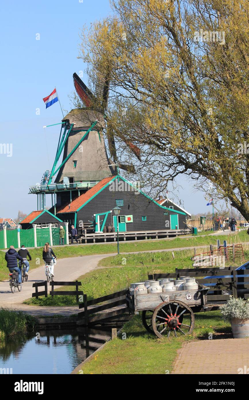 Zaanse Schans in the Netherlands Stock Photo