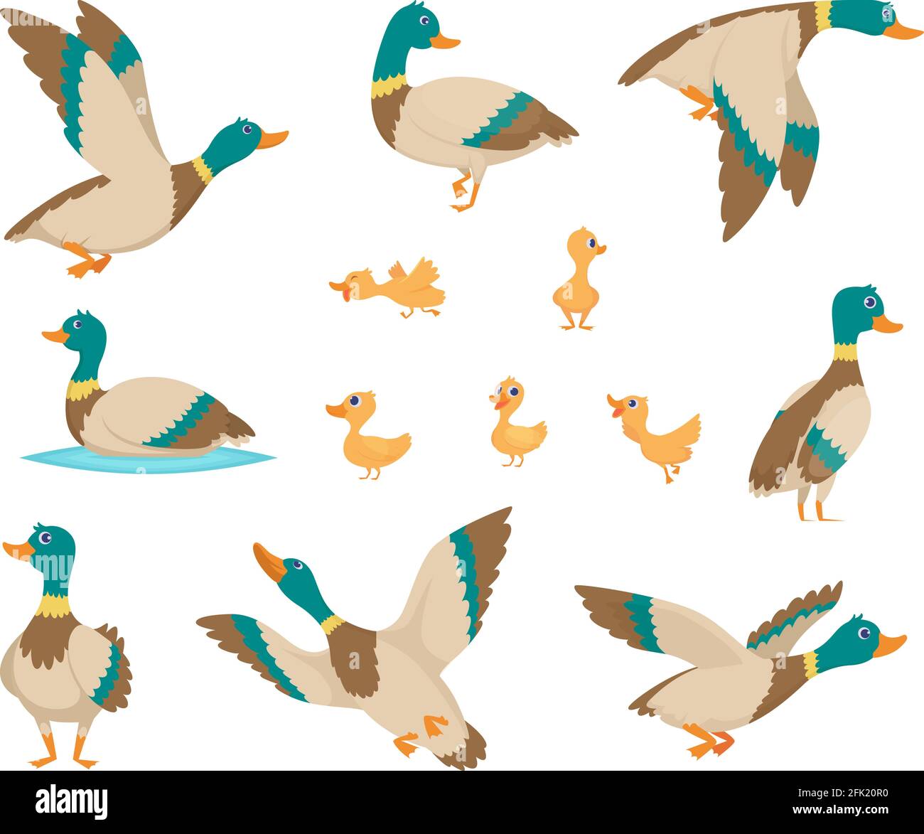 Wild birds. Funny ducks flying and swimming in water brown wings vector birds cartoon style Stock Vector