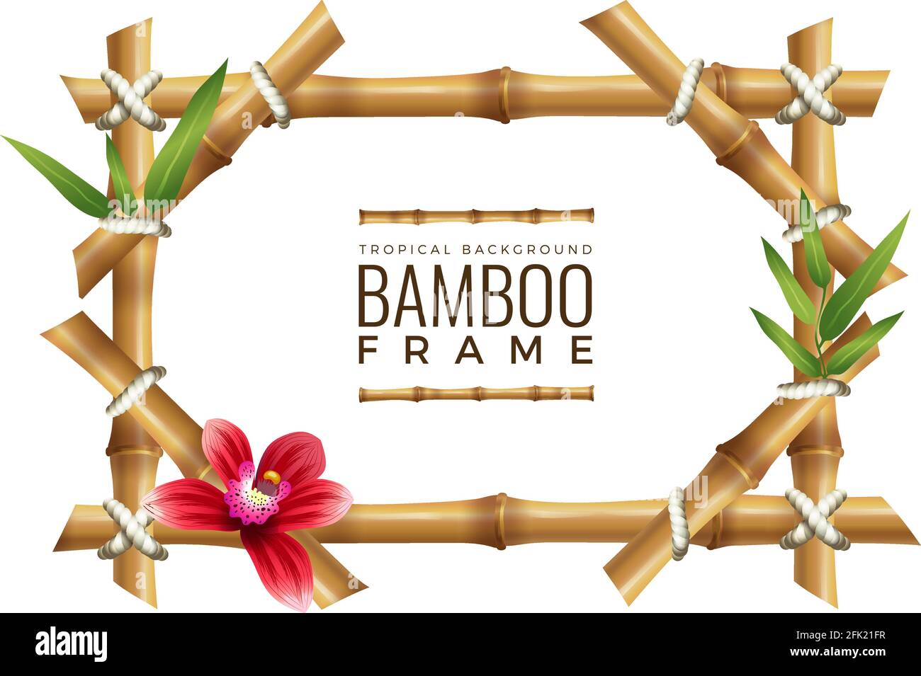 Bamboo frames background. Asian nature geometrical frame with place for your text wooden tropical vector mockup Stock Vector