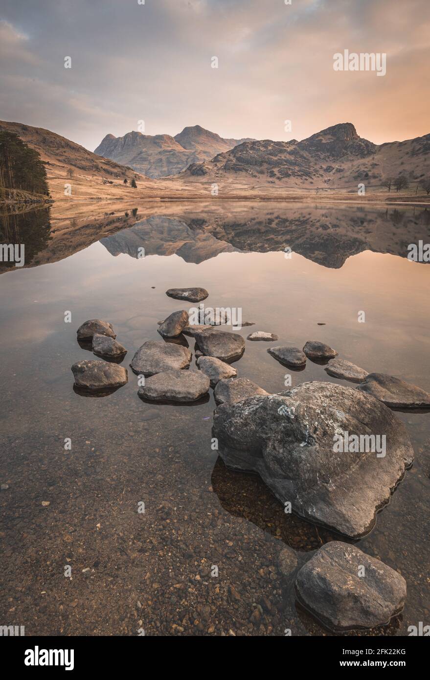 Blea Tarn with mirror-like reflections of the Langdale Pikes at sunrise in spring Stock Photo
