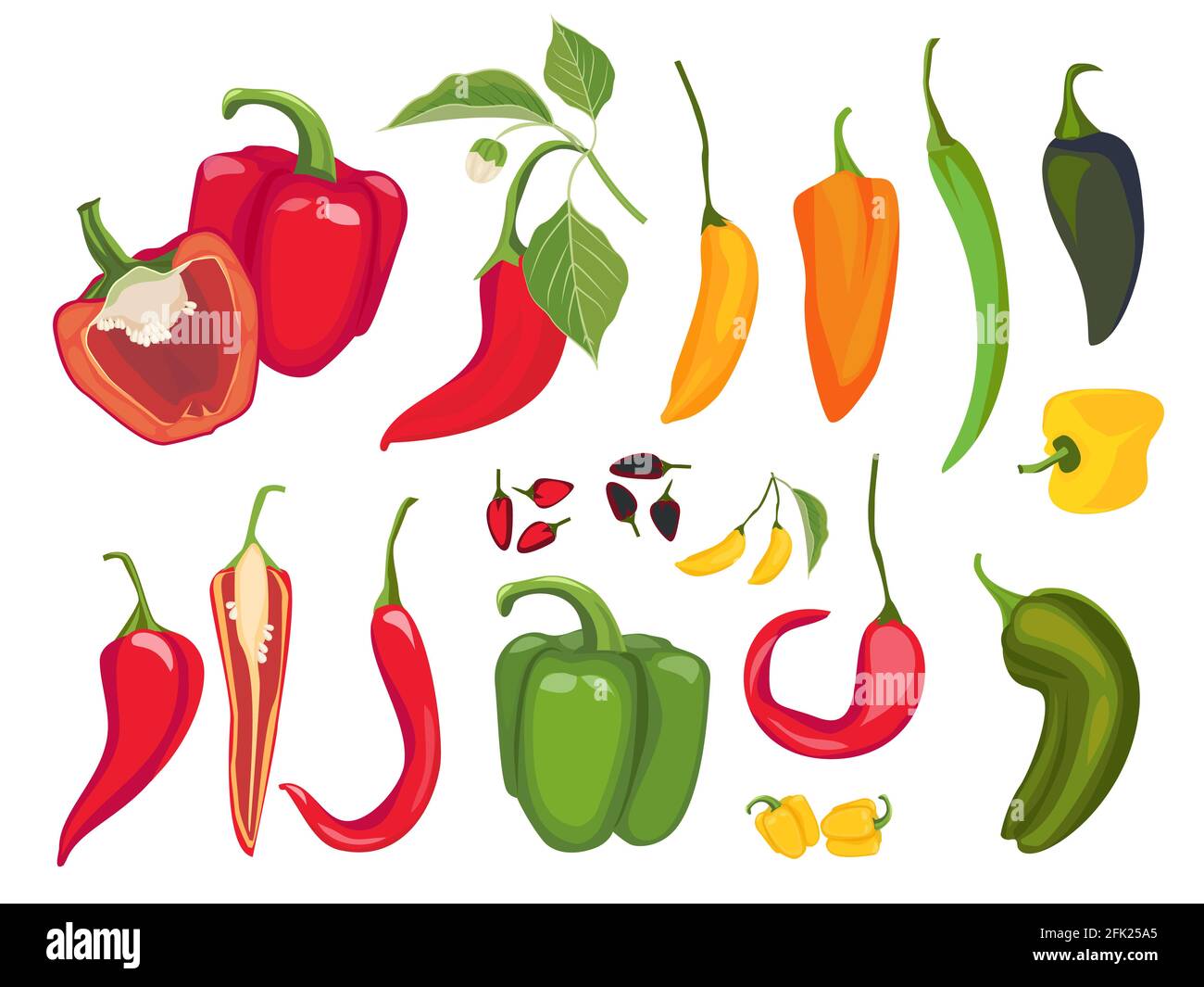 Hot peppers. Mexican chile fresh vegetarian food spices paprika cayenne
