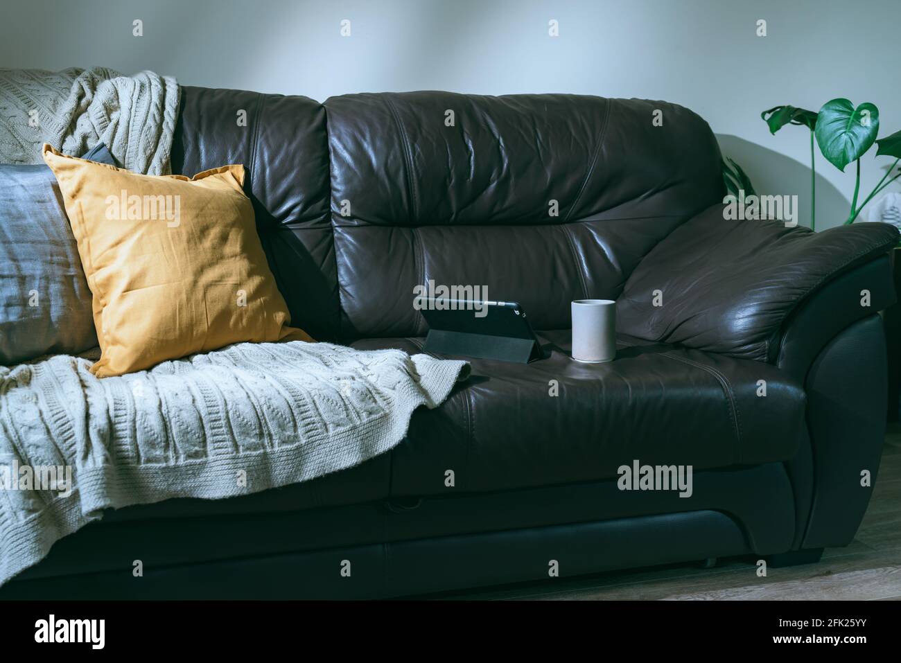 Closeup of luxurious expensive old brown leather couch with pillows and