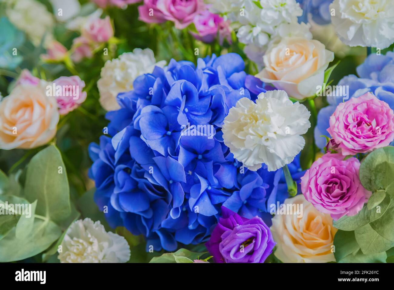 Colorful beautiful flowers bouquet - close up Stock Photo - Alamy