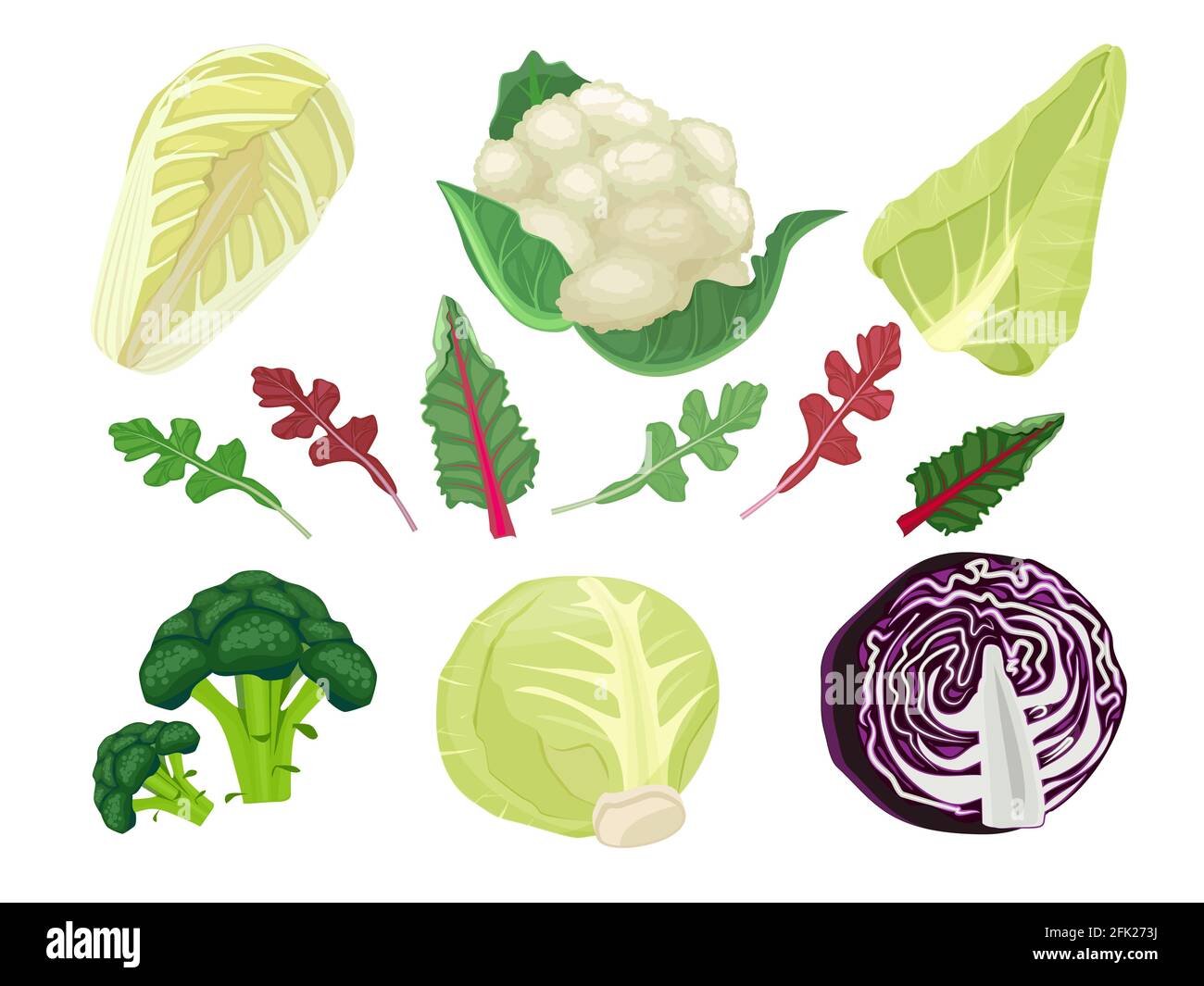 Cabbages cartoon. Green vegetarian natural food plant salad harvest eat vector set Stock Vector