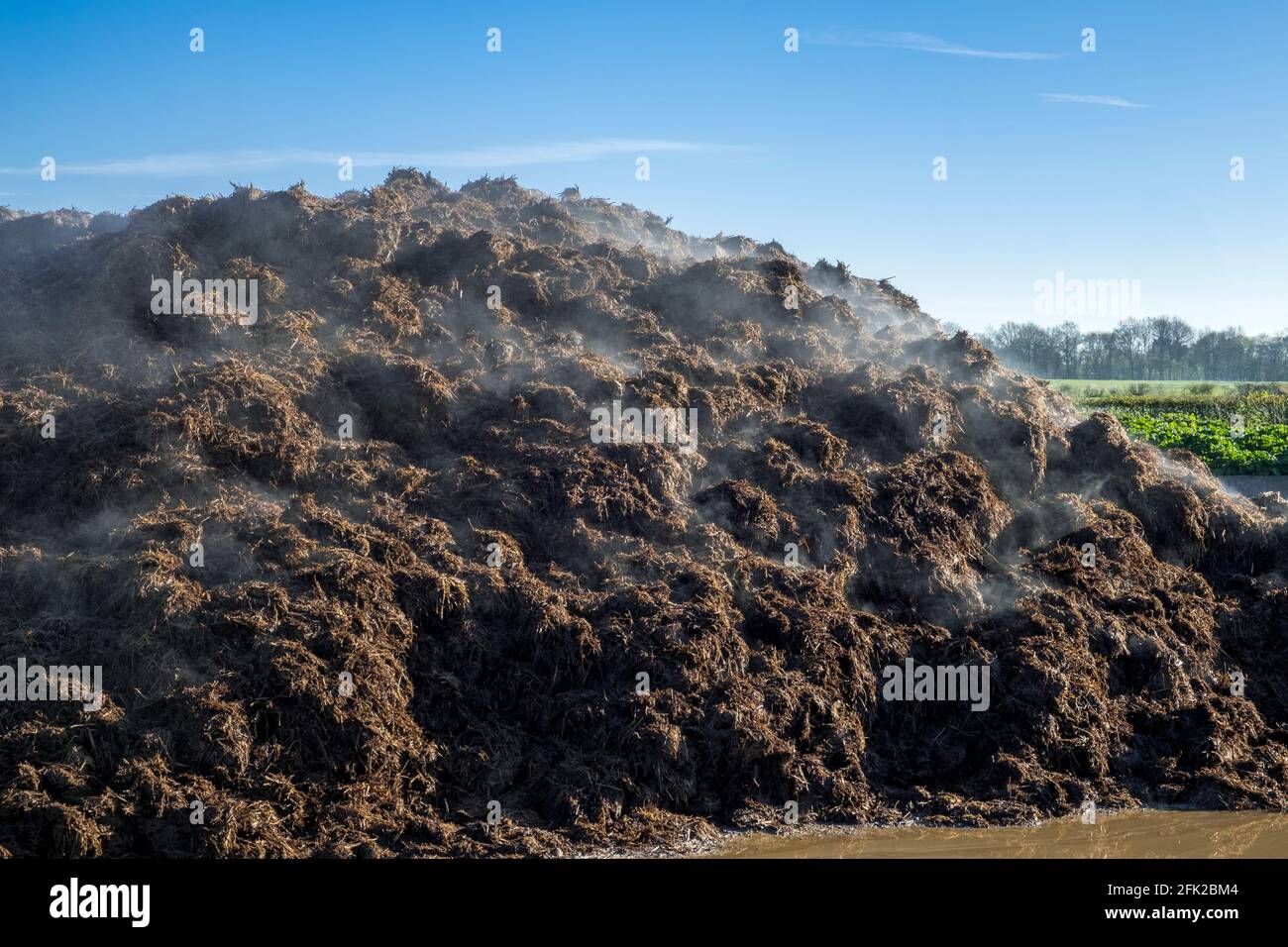 Manure heap hires stock photography and images Alamy