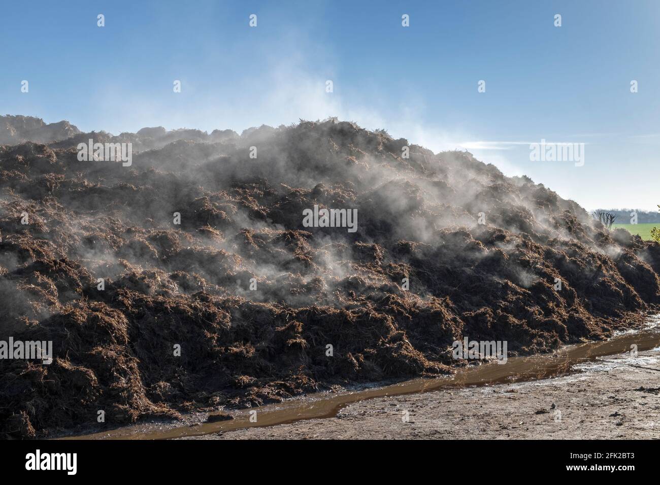 Smelly dung hires stock photography and images Alamy