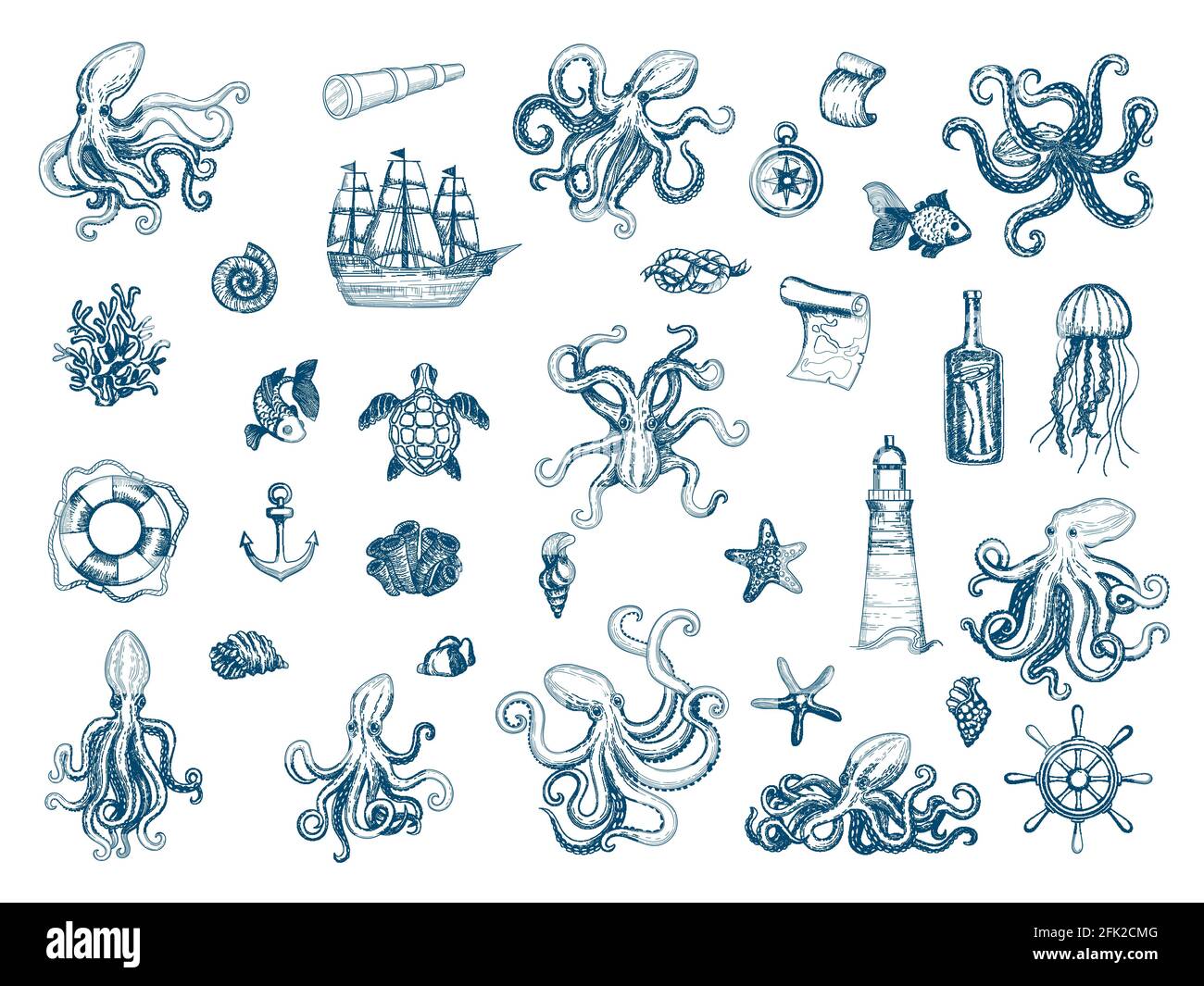 Marine illustrations. Octopus nautical set wild squid shells monster kraken vector hand drawn collection Stock Vector