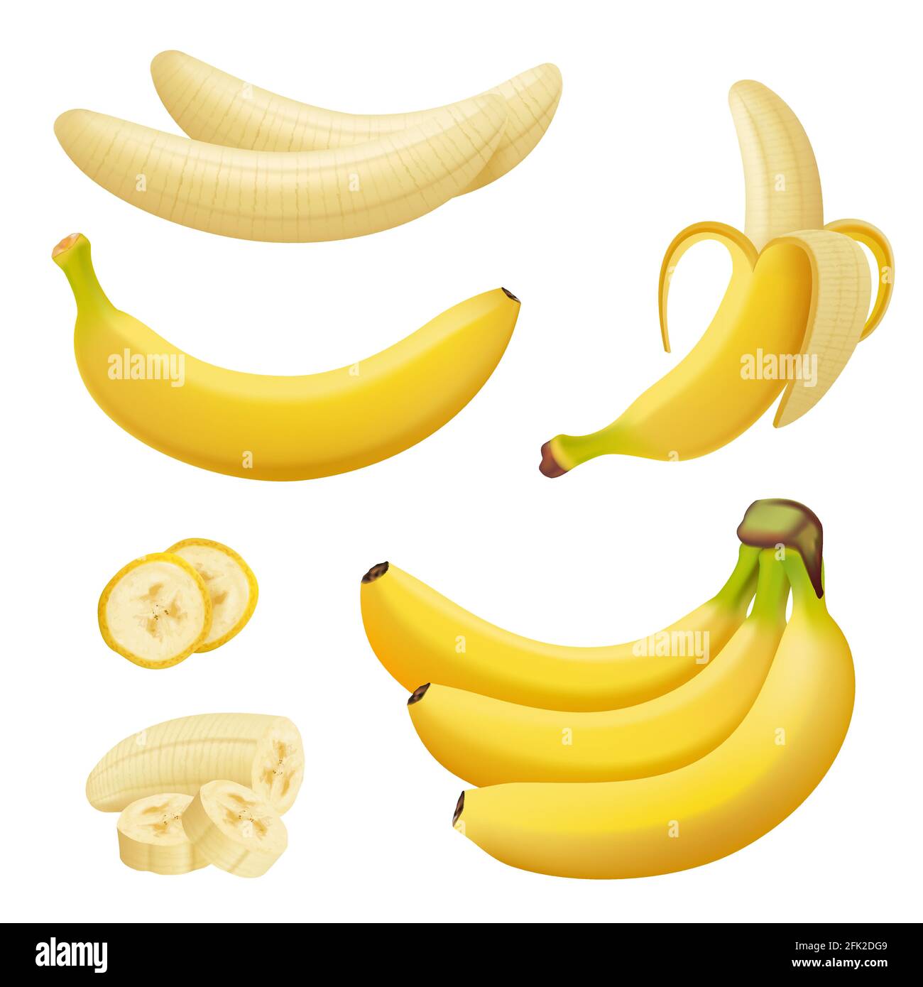 Banana fruits. Exotic desserts natural tropical plants vector healthy