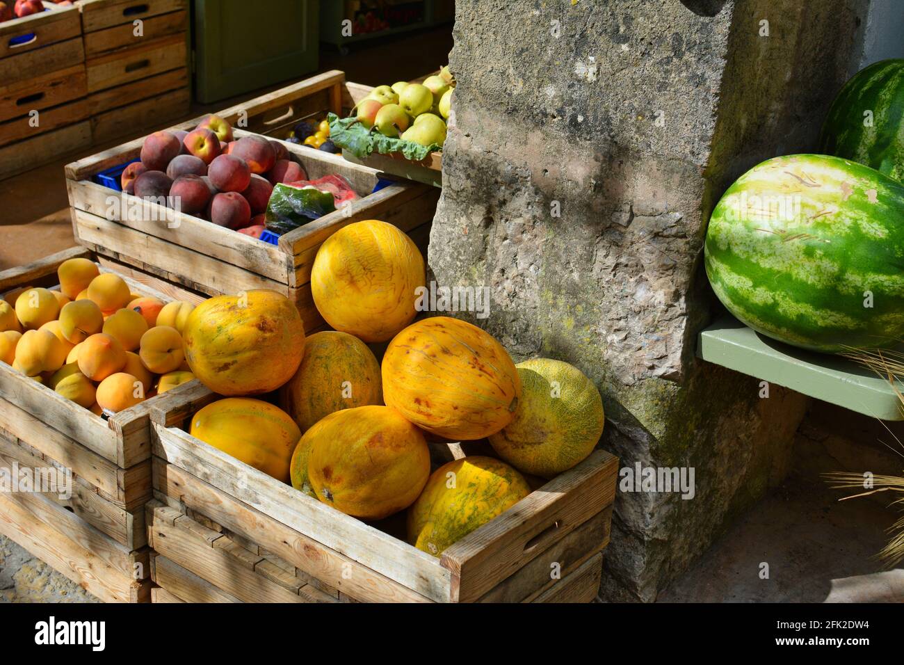 Fresh melons in the boxes. Stock Photo