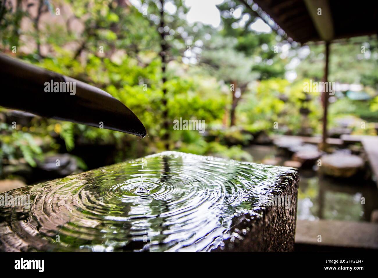 Bamboo natural spring water feature in the Japanese zen garden of the Nomura samurai clan house, Kanazawa, Japan. Stock Photo