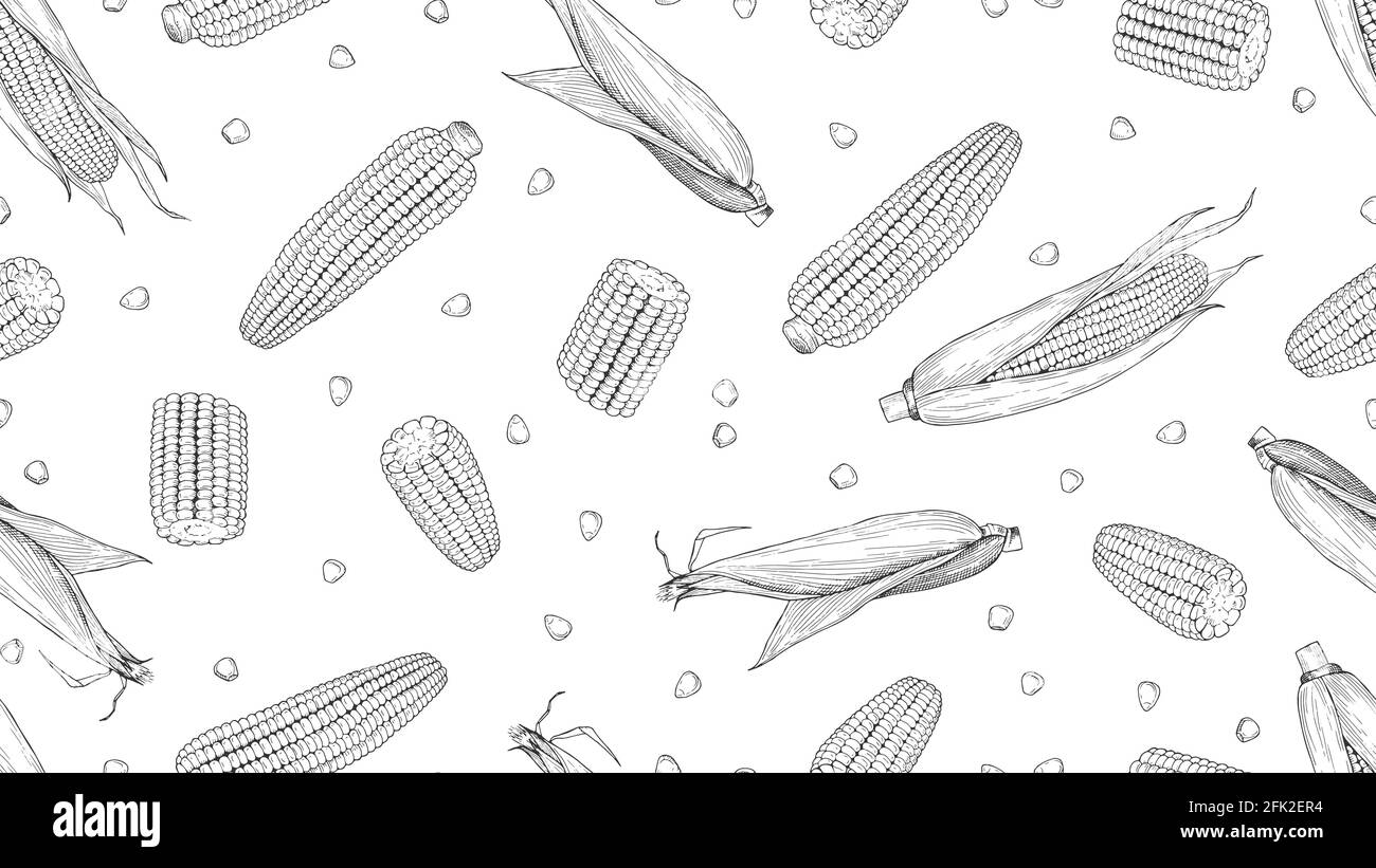 Sketch corn. Harvesting cereals, hand drawn cobs and seeds vector seamless pattern Stock Vector