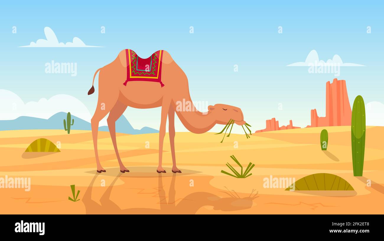 Desert background. African landscape with group of camels outdoor wasteland vector cartoon picture Stock Vector