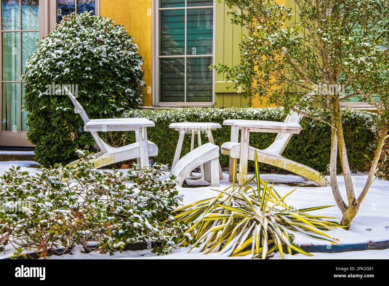 Two white Adirondack chairs with a table between them in the snow in front of a colorful house with green shutters and shrubbery around them Stock Photo