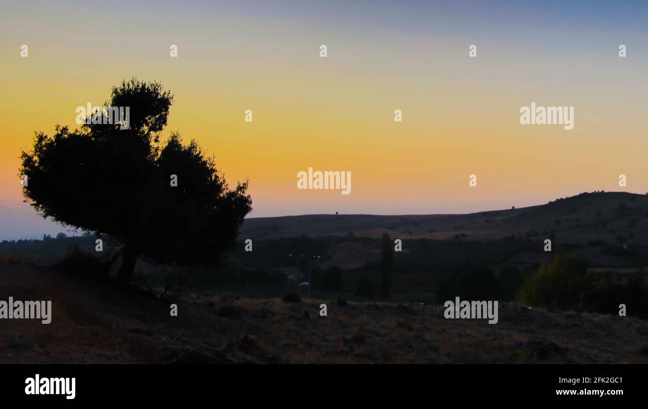 Landscape with trees and a lac Stock Photo - Alamy