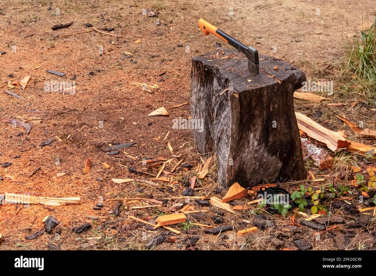 yellow handled ax with blade stuck in a tree stump used to chop wood with wood chips scattered around on the ground Stock Photo