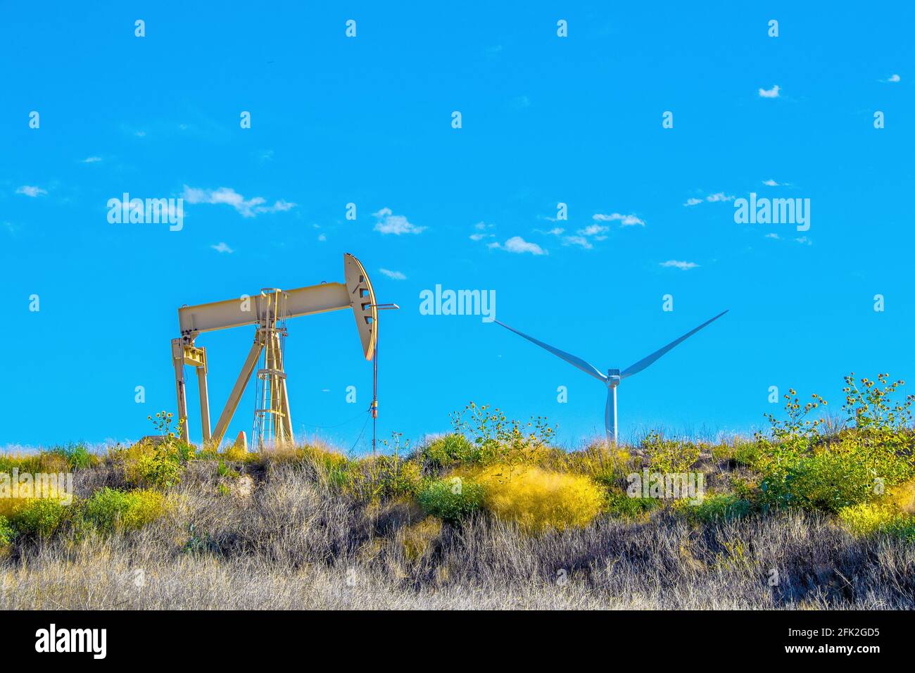Yellow oil well pump jack sitting on ridge with colorful flowers and folliage with giant industrial windmill peeping over the horizon against beautifu Stock Photo