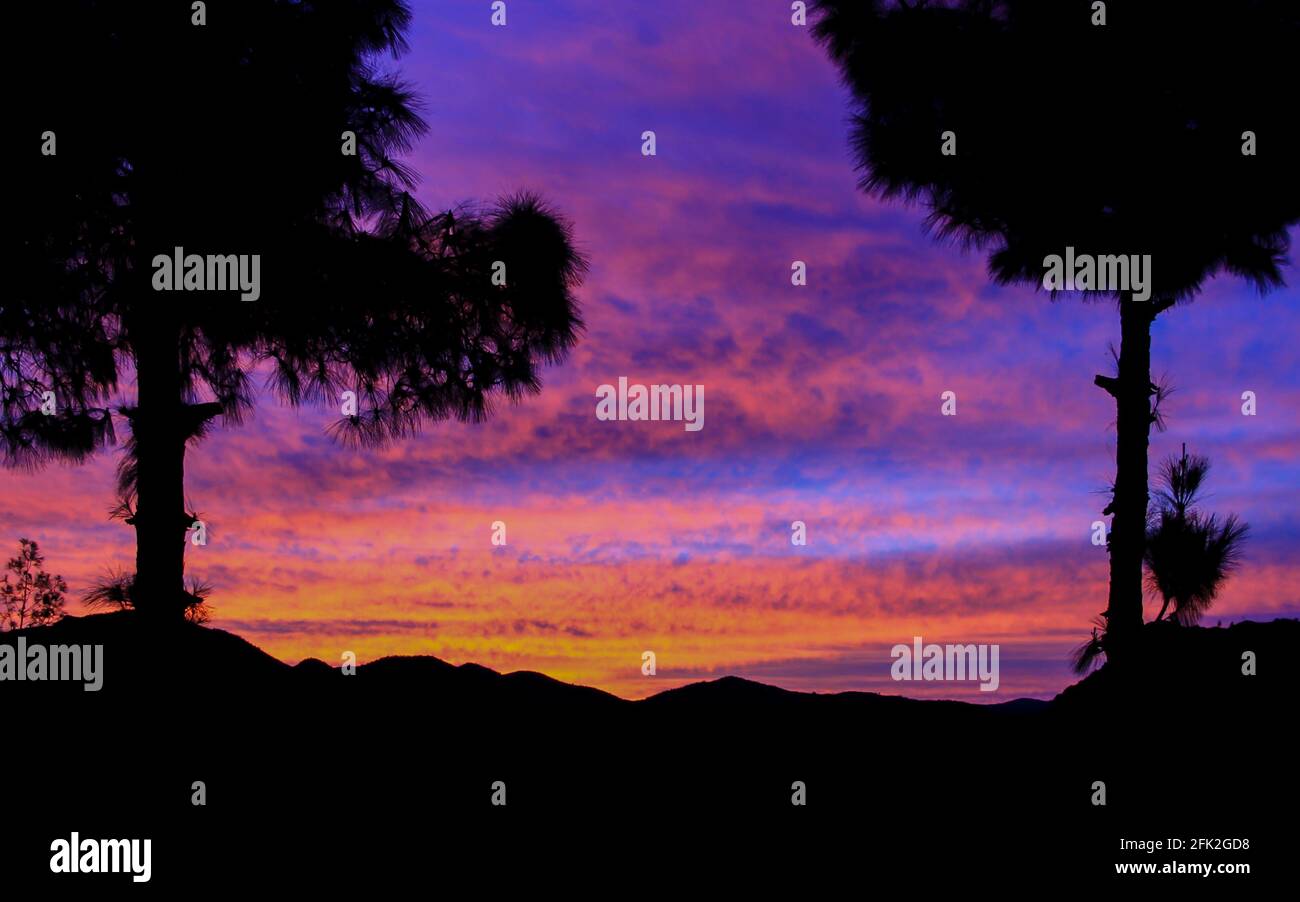 Mountains landscape with a crescent moon, purple sky and a cedar tree Stock Photo