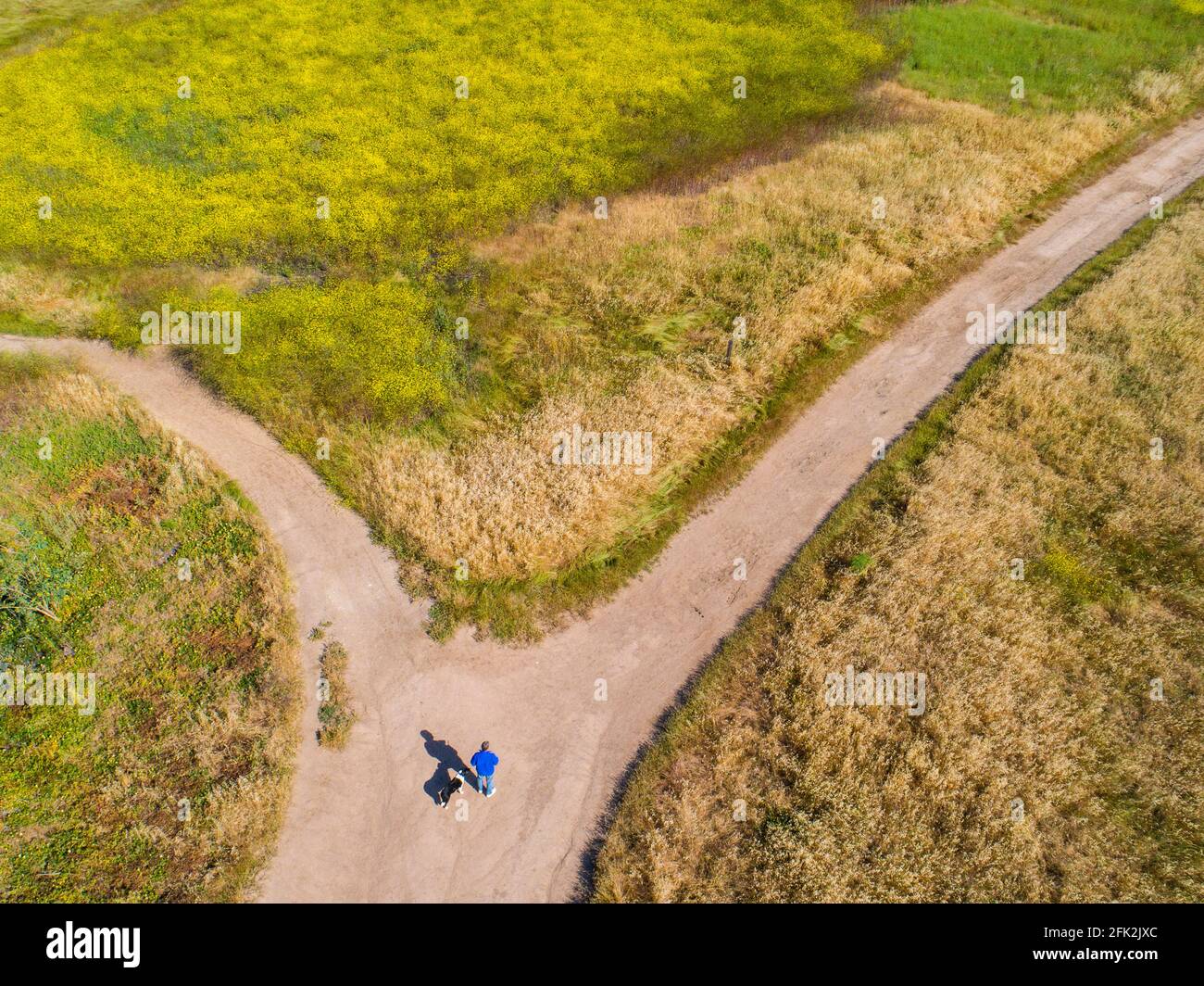 aerial view of man walking his dog at a fork in the road on Ellwood Mesa, Goleta, California Stock Photo
