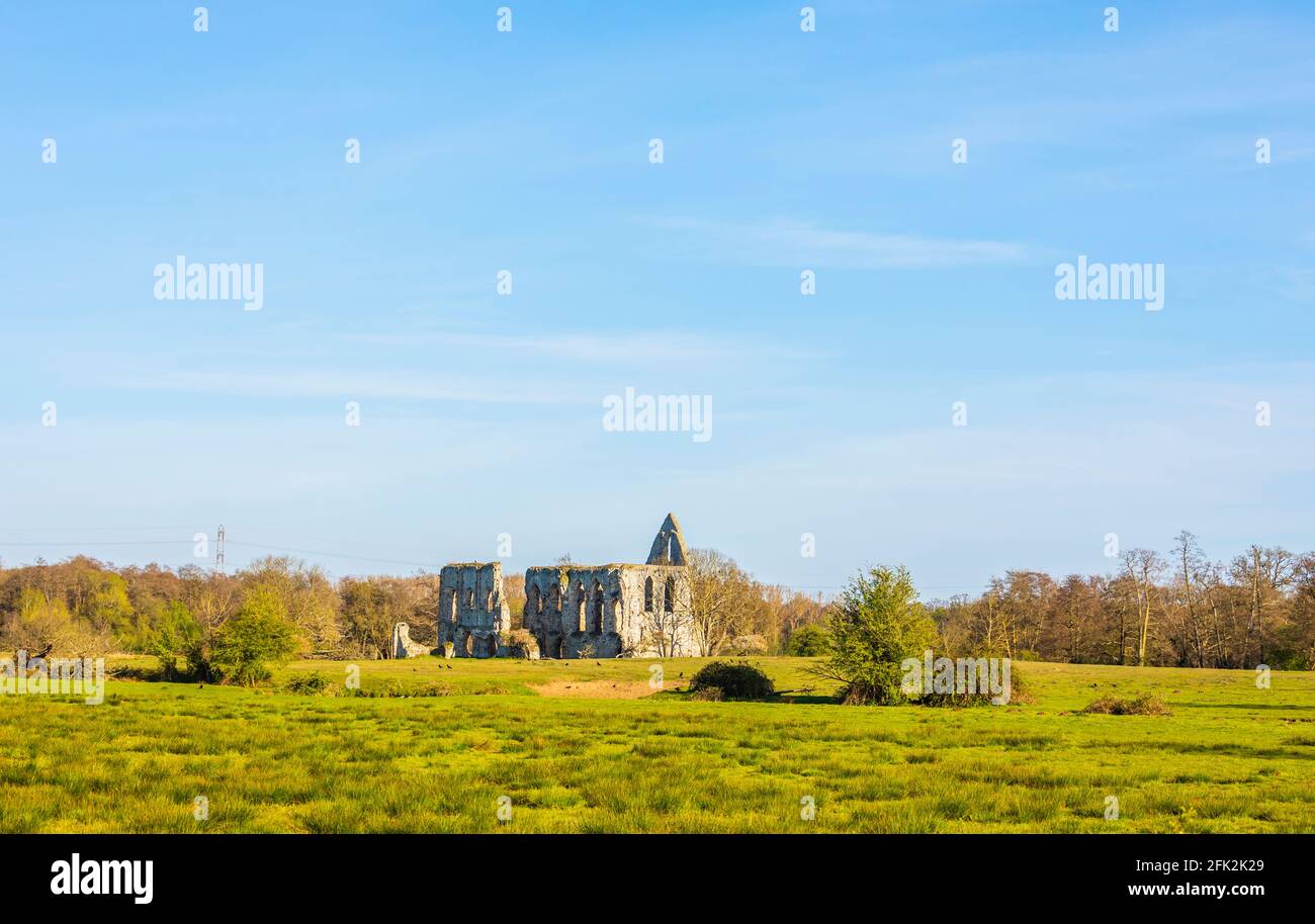 Ruins of Newark Priory, an Augustinian priory by the River Wey, a scheduled monument near Ripley and Pyrford, Surrey, inaccessible on private land Stock Photo