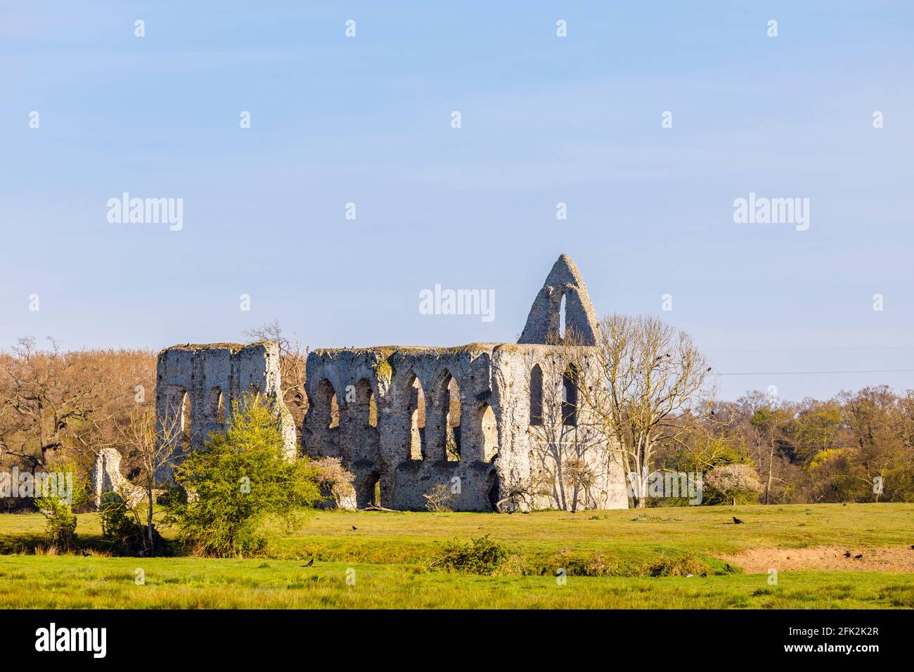 Ruins of Newark Priory, an Augustinian priory by the River Wey, a