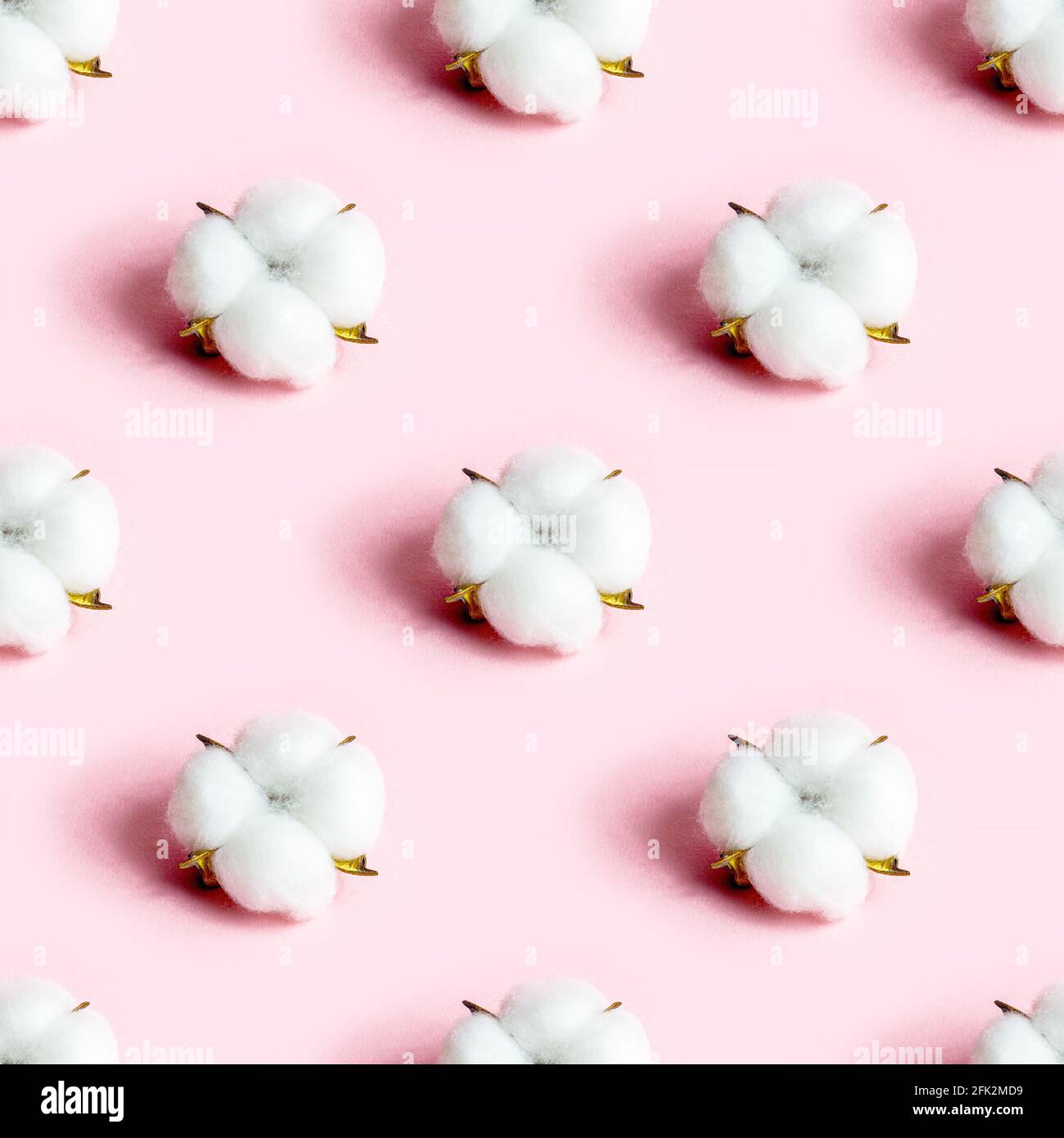 White dry cotton flowers seamless pattern on light pink background. Stock Photo