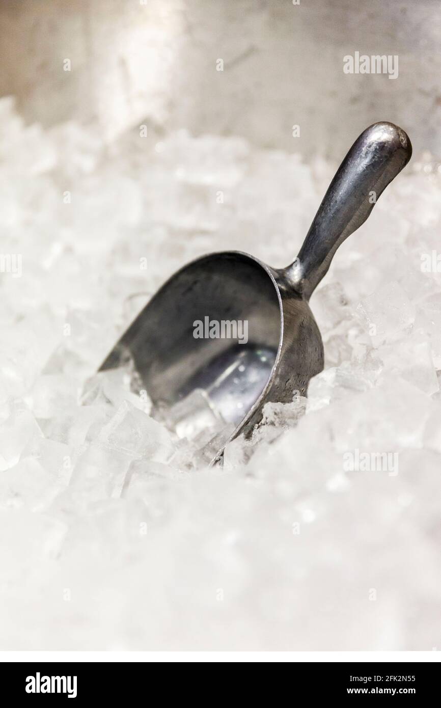 Ice scoop utensil in commercial ice bucket Stock Photo Alamy