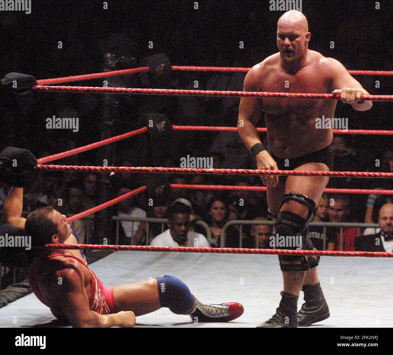 Steve Austin Fake Id