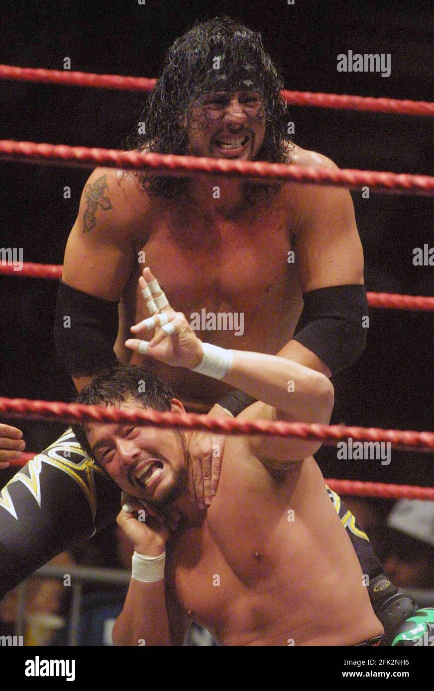 XPAC 2001                                                                           By John Barrett/PHOTOlink Stock Photo