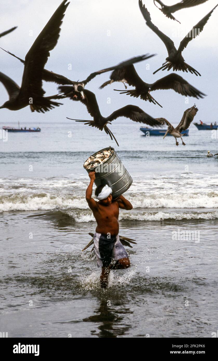 Bringing in the fish catch.Early morning at the beach of Puerta Lopez.North-west Ecuador.South America. Stock Photo