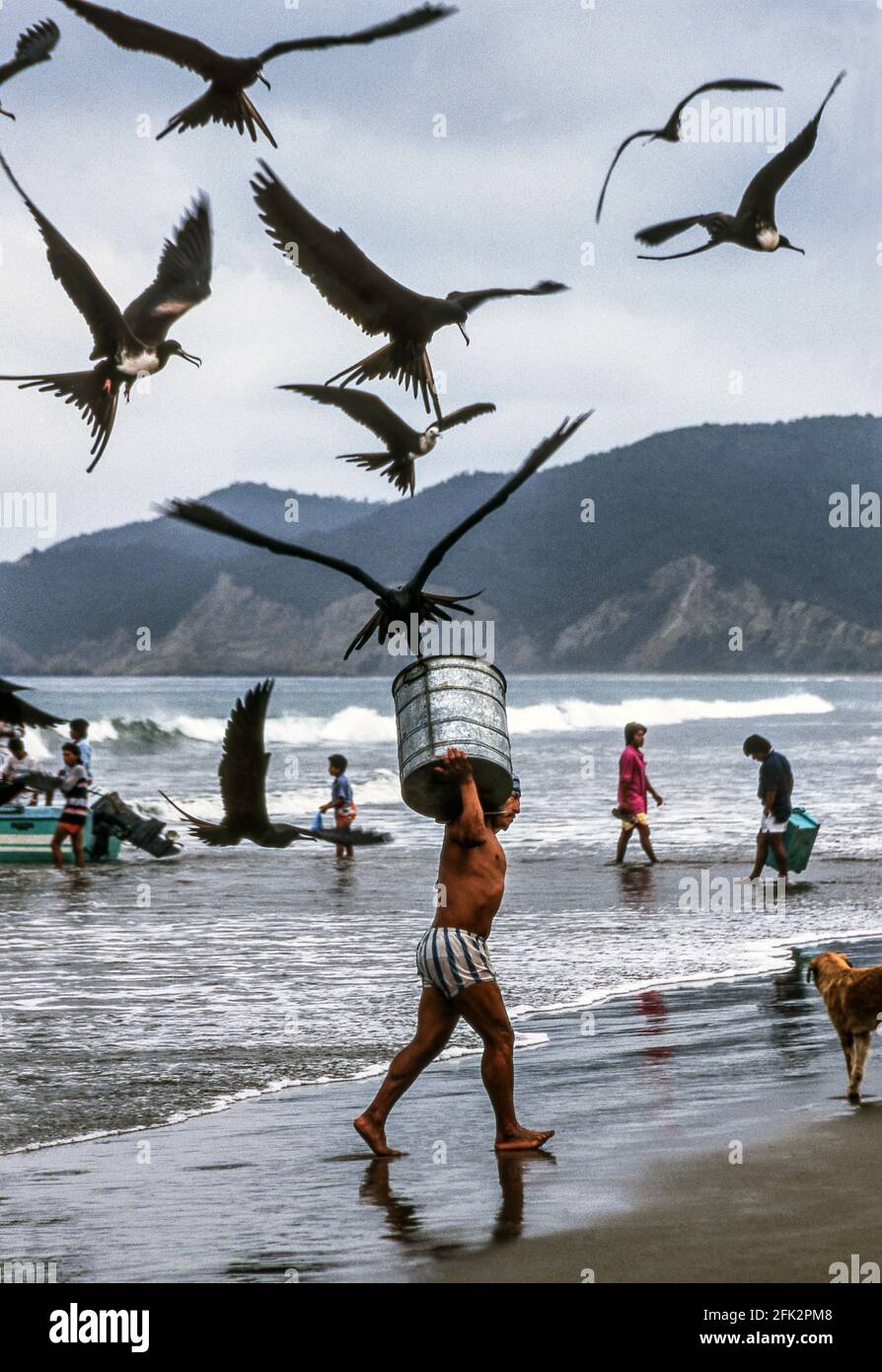 Bringing in the fish catch.Early morning at the beach of Puerta Lopez.North-west Ecuador.South America. Stock Photo