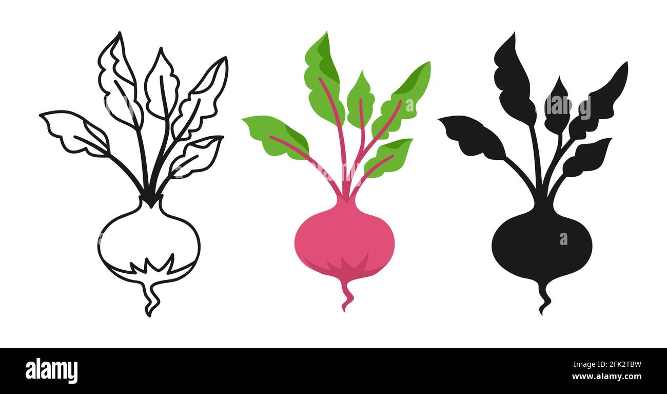 Vegetable beet cartoon set, line icon, black glyph style. Beetroot organic  food. Rural red healthy vegetable collection. Hand drawn garden agriculture  concepts vector illustration Stock Vector Image & Art - Alamy