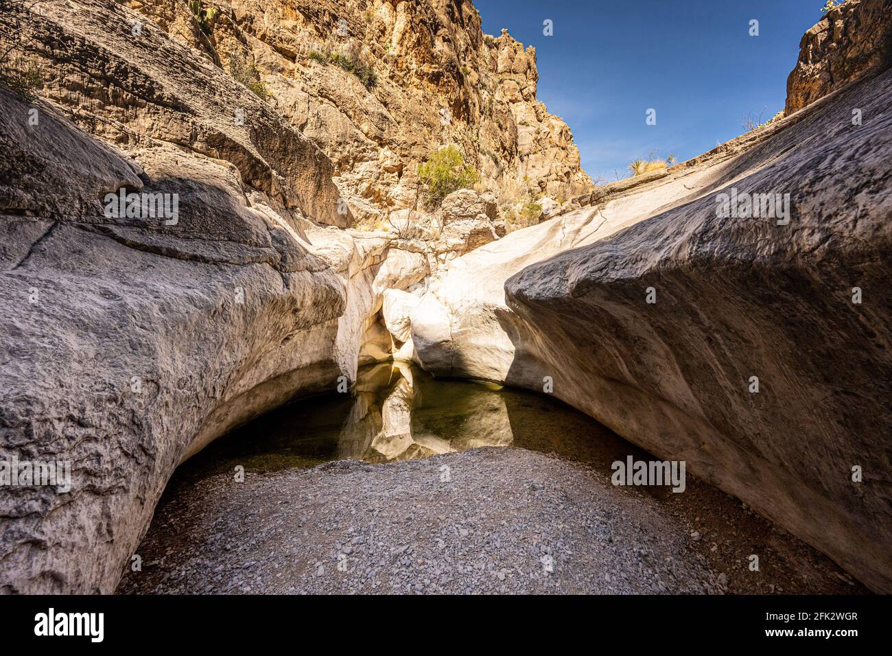Water in the Ernst Tinaja  in Big Bend National Park Stock Photo