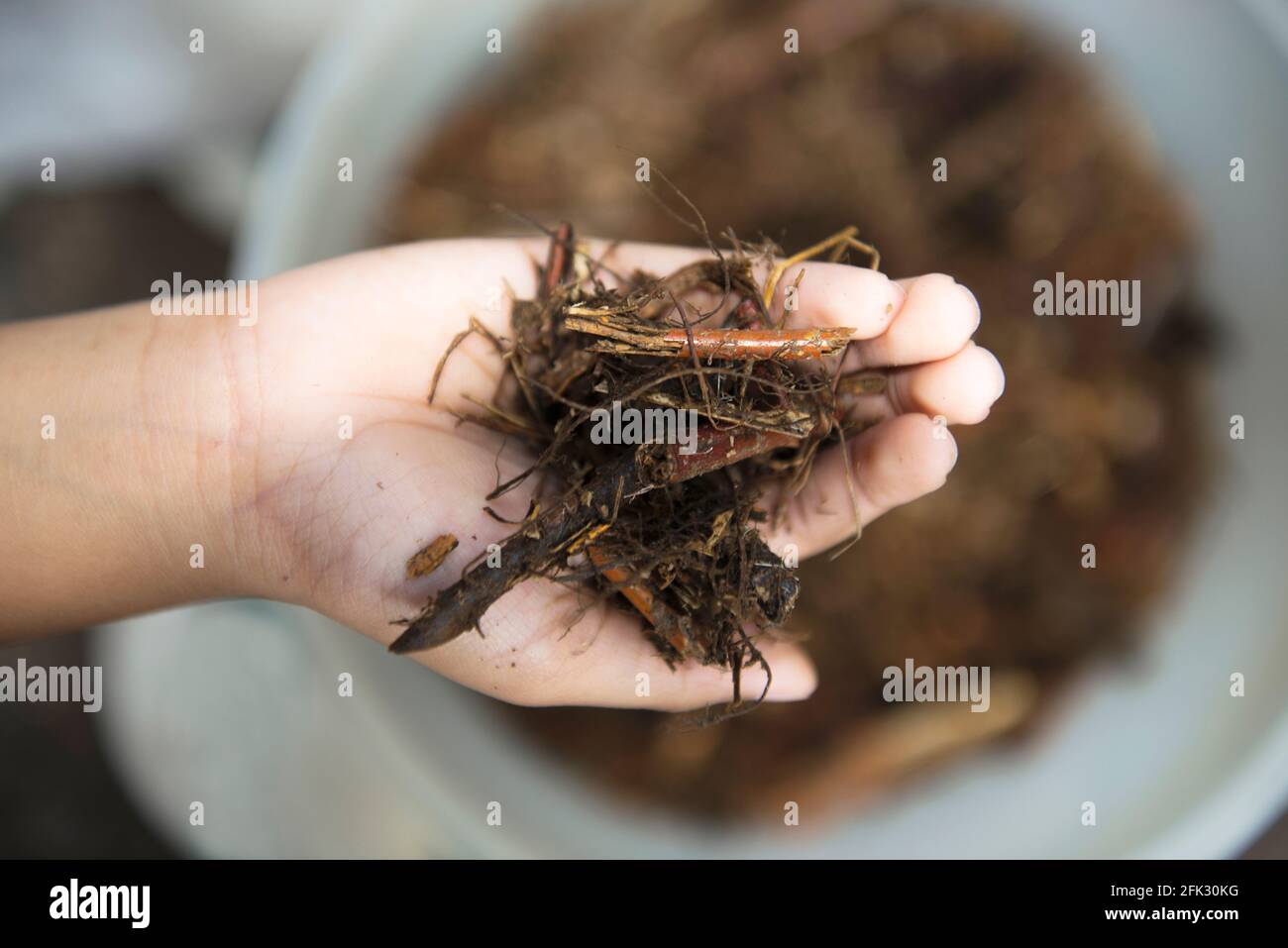 Human hands holding dirt with blurred background Stock Photo Alamy