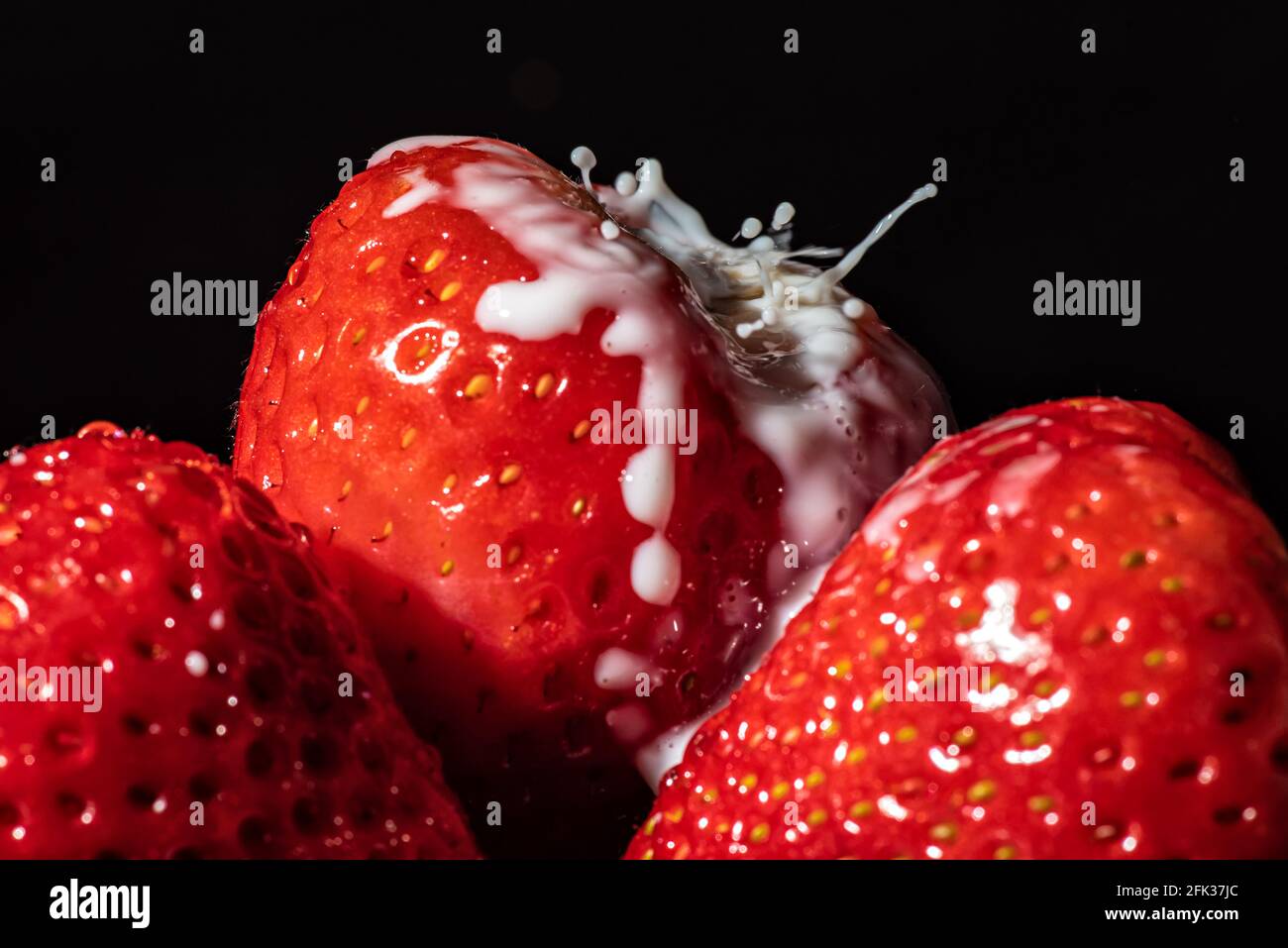 Erdbeeren im Highspeed mit flüssiger Sahne Stock Photo