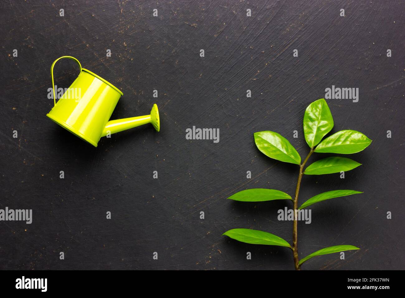 Watering Process Watering process hi-res stock photography and images - Alamy