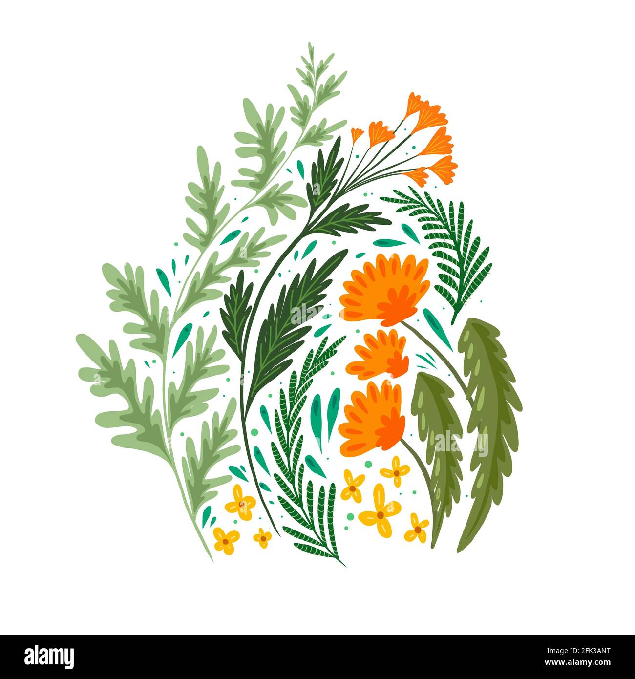 Flat illustration of grass and flower fields. A bouquet of wormwood, fennel, dandelion and St. Johns wort on white background. Vector summer and brigh Stock Vector
