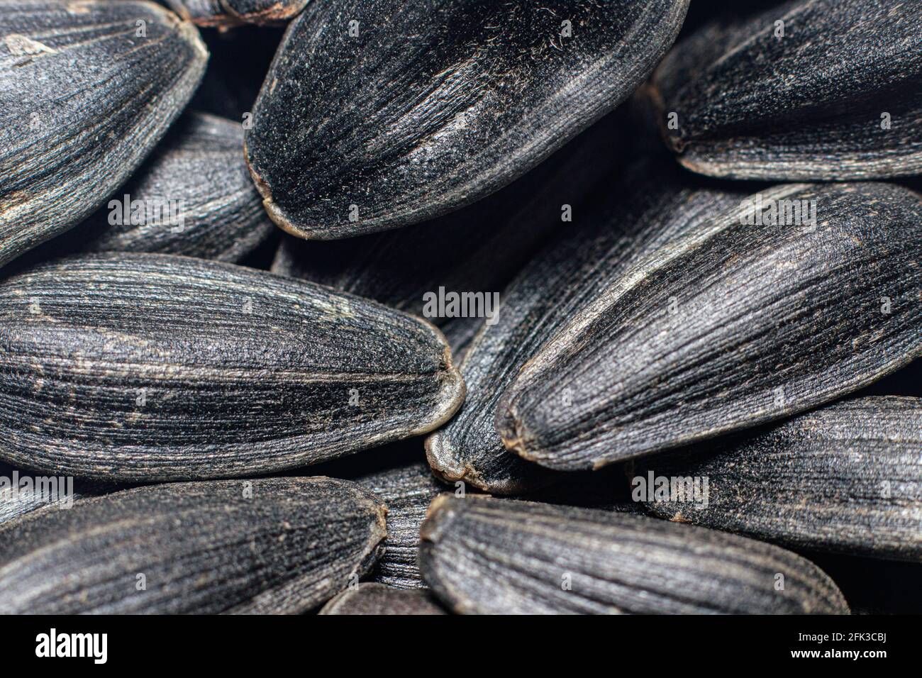 Sunflower seeds texture hi-res stock photography and images - Alamy