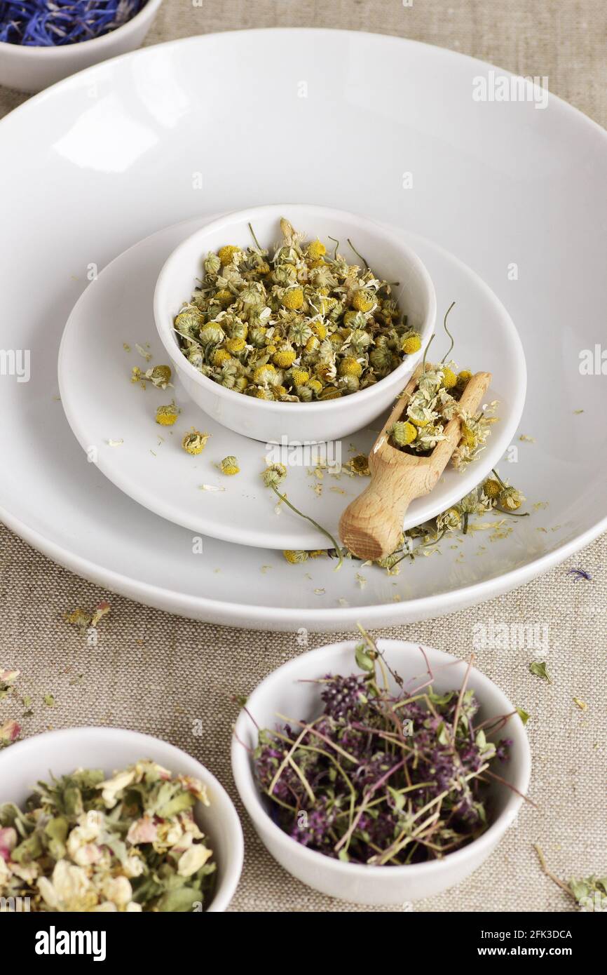 Assortment of dry herbs: chamomile, apple tree flowers, cornflower, lavender, thyme on rustic linen texture, closeup, natural medicine, naturopathy, h Stock Photo