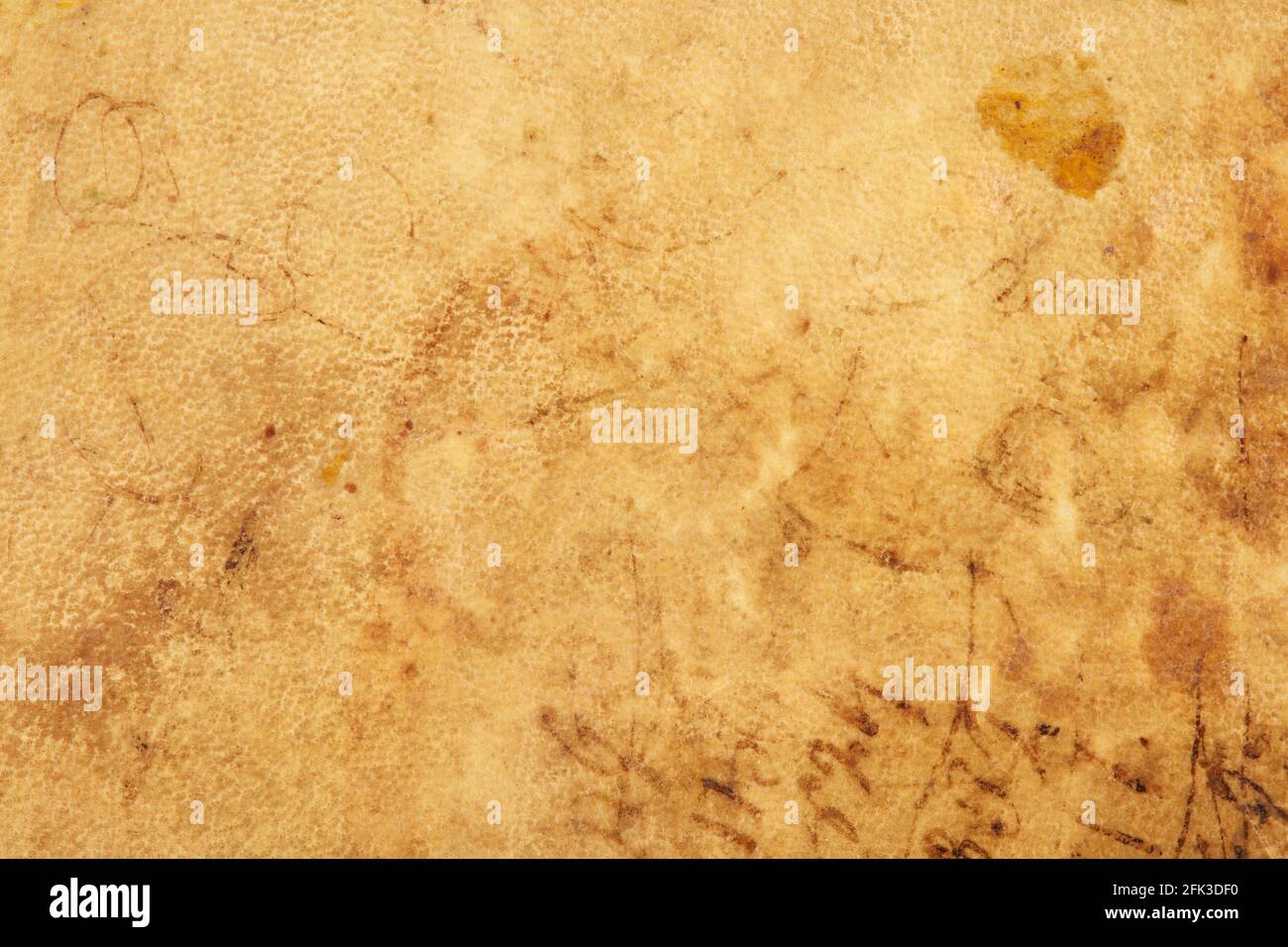 Old parchment leather with ancient handwriting texture background Stock Photo