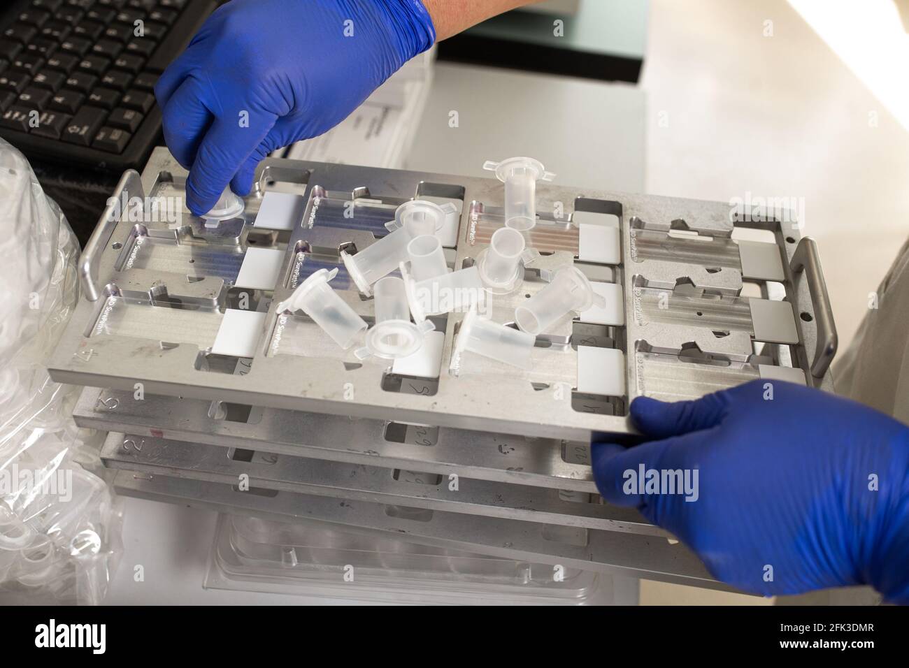 Lab technician works with gloves in hospital. Stock Photo